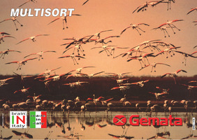Multisort Multisort