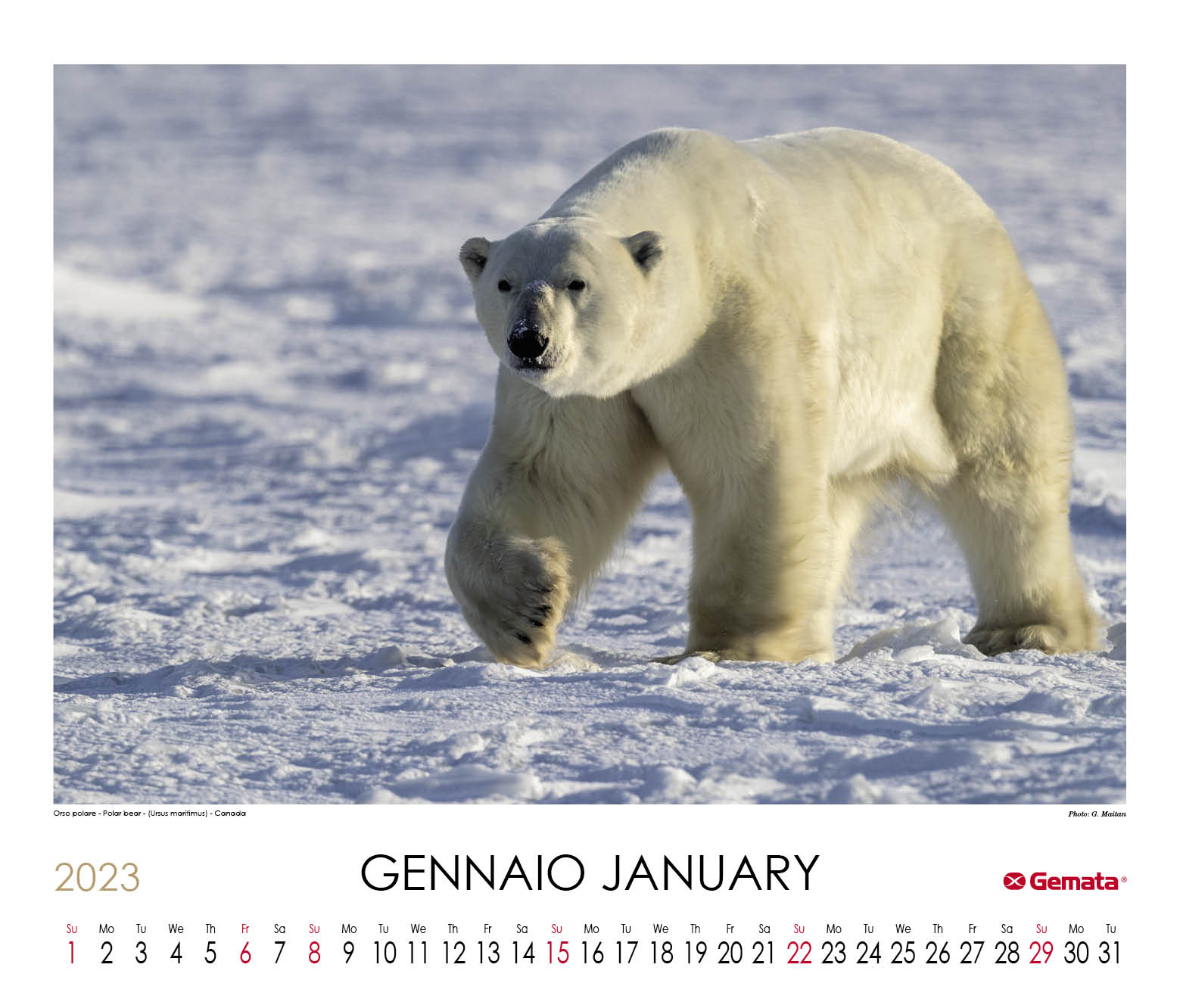 Calendario 2023