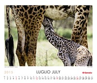 Luglio