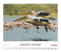 Agosto