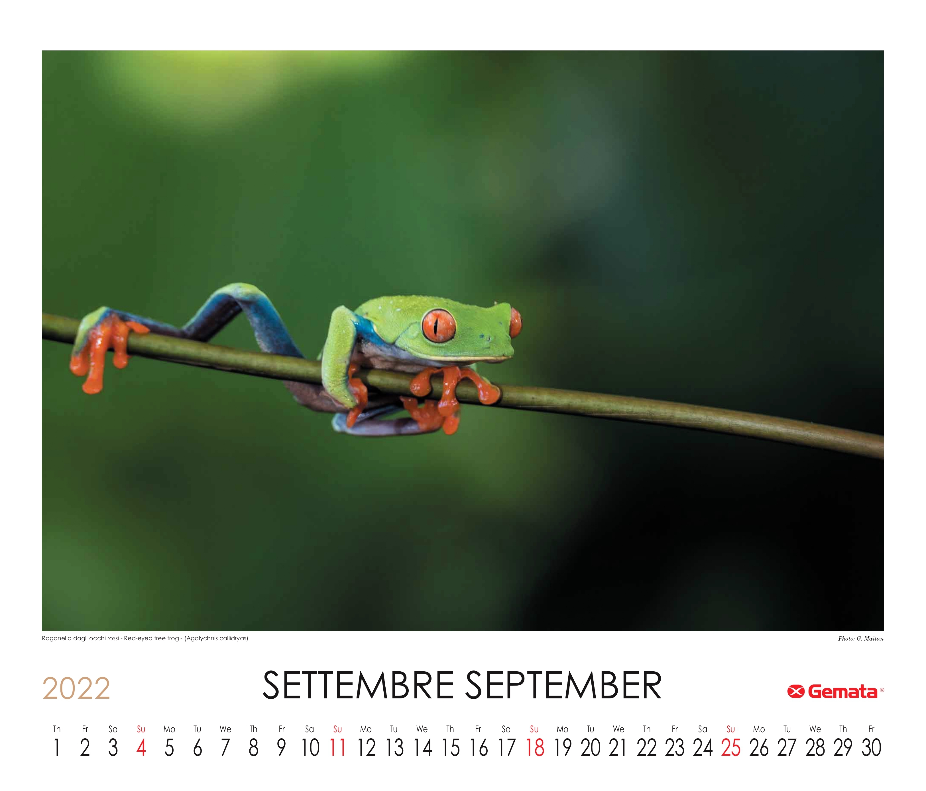 Calendario 2022