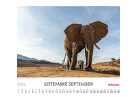 Calendario 2026