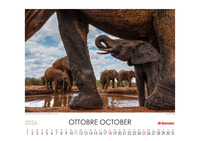 Calendario 2026