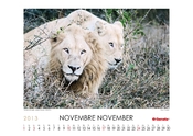 Calendario 2013