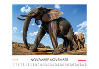 Calendario 2026