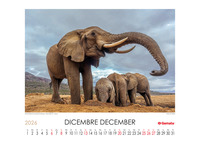 Calendario 2026