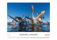 Calendario 2026