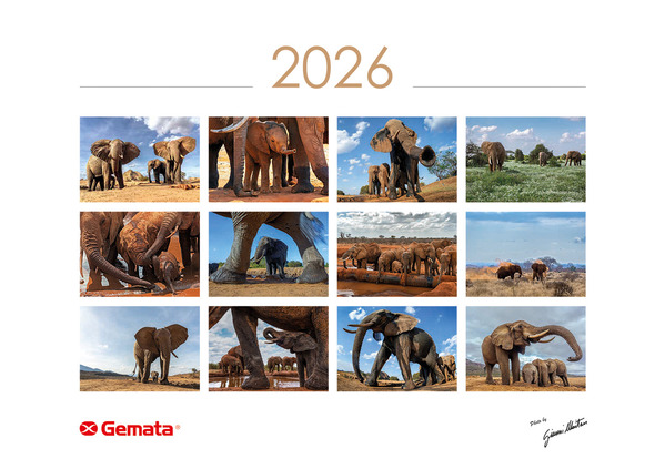 Calendario 2026