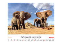 Calendario 2026