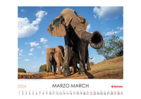 Calendario 2026