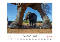 Calendario 2026