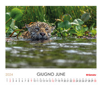 Calendario 2024, Calendario 2024