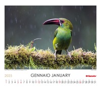 Calendario 2025