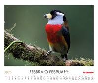Calendario 2025