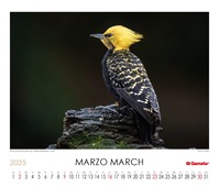 Calendario 2025