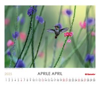 Calendario 2025