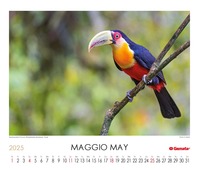 Calendario 2025