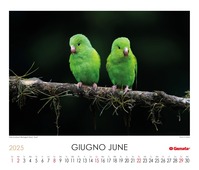 Calendario 2025