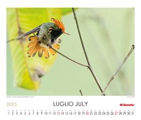 Calendario 2025