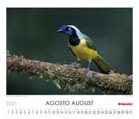 Calendario 2025
