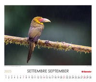 Calendario 2025