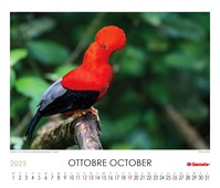 Calendario 2025