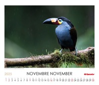 Calendario 2025