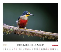 Calendario 2025