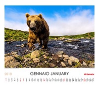 Calendario 2018