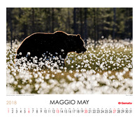Maggio